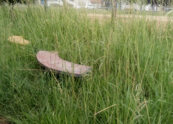 Praça Celso Daniel no jardim Maria Dirce pede socorro Guarulhos São Paulo