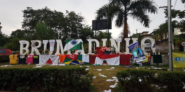 Sobe para 142 o número de mortos em Brumadinho