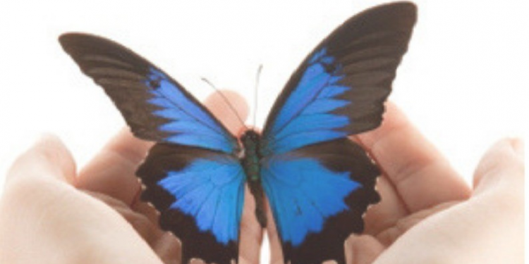 12ª Semana da enfermagem e serviço social