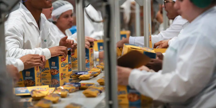 Indústria tem o maior nível de emprego de 2015