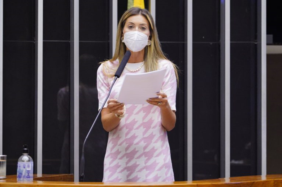 Câmara aprova inclusão de medidas protetivas de mulheres em banco de dados policial