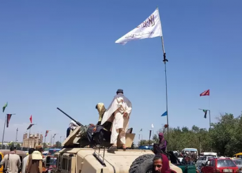 Talibãs mostram-se abertos à admissão de mulheres no governo