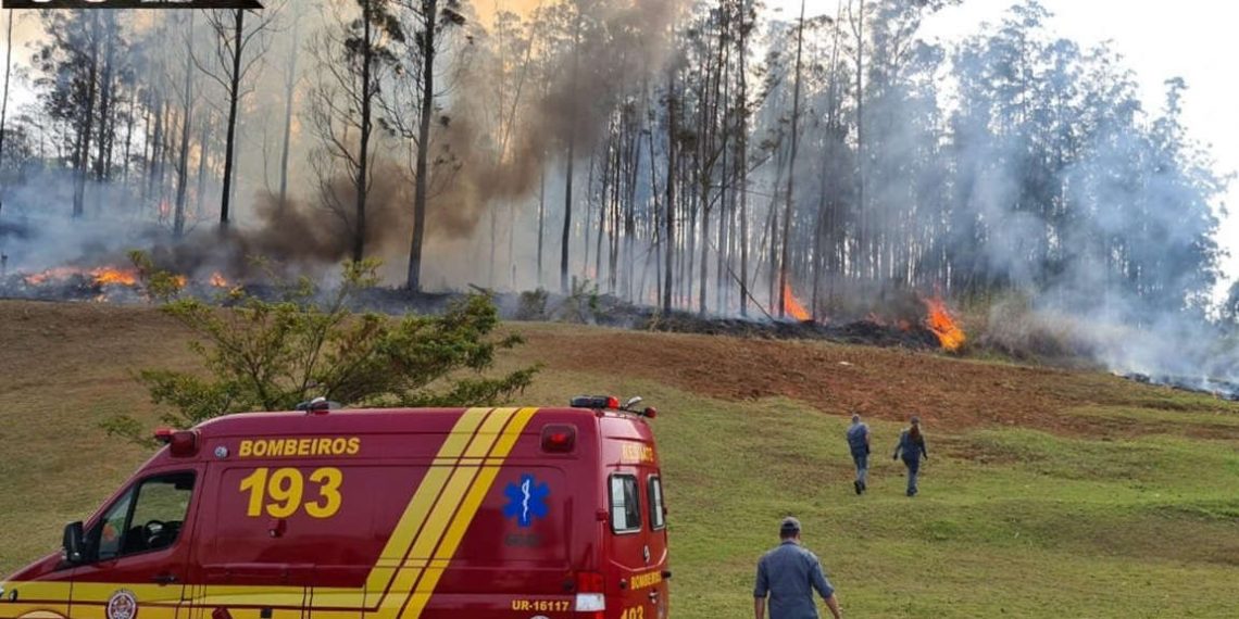 Acidente de avião tira a vida de Celso Silveira Mello e de sua família, acionistas da Cosan