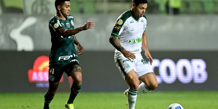 Palmeiras perde para América-MG por 2 a 1 e cai para terceiro no Brasileiro