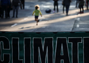 COP26: Brasil apoia declaração internacional para proteger florestas