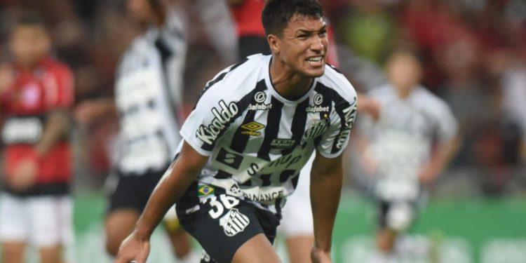 Vitórias de Atlético-GO e Santos embolam briga por Libertadores